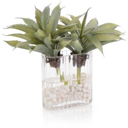 John Richard Desert Agave Fresh Water Look JRB-5346W