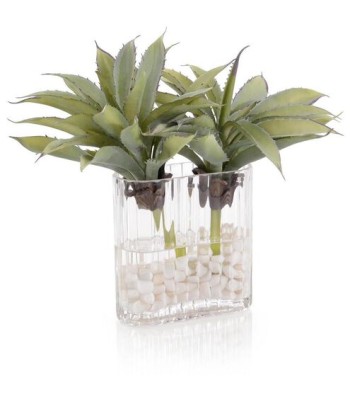 John Richard Desert Agave Fresh Water Look JRB-5346W
