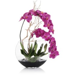 John Richard Asian Beauty Fresh Water Look JRB-5360W