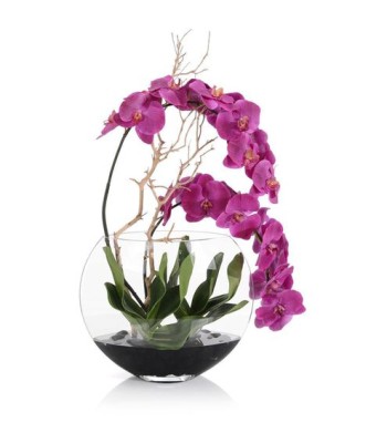 John Richard Asian Beauty Fresh Water Look JRB-5360W