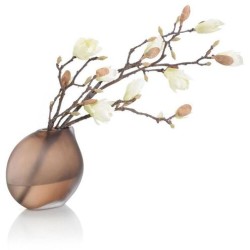 John Richard Coffee Magnolias Fresh Water Look JRB-5368W