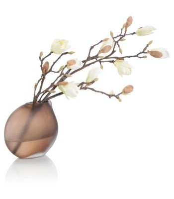 John Richard Coffee Magnolias Fresh Water Look JRB-5368W