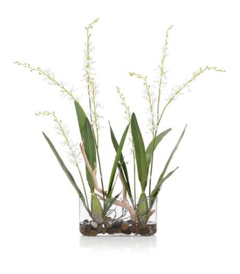 John Richard White Pearls Fresh Water Look JRB-5393W