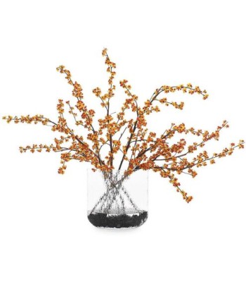 John Richard Bittersweet Floral JRB-5440W