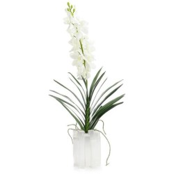 John Richard Dendrobium 'N' Selenite Floral JRB-5483W