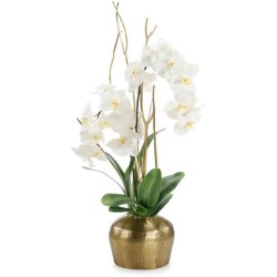 John Richard Golden Moon Floral JRB-5486
