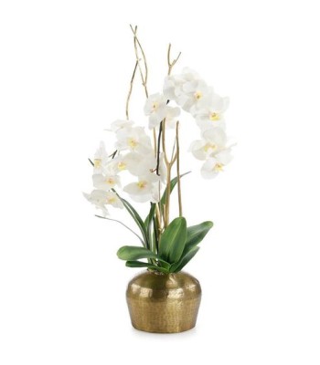 John Richard Golden Moon Floral JRB-5486
