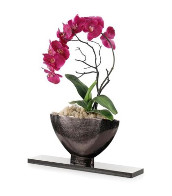 John Richard Midnight Phalaenopsis Floral JRB-5492