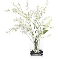 John Richard Deep Sea Floral JRB-5515W