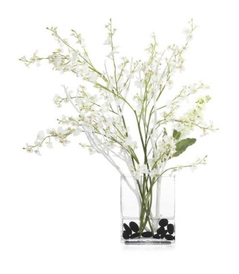 John Richard Deep Sea Floral JRB-5515W