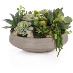 John Richard Amsterdam Botanical/Floral JRB-5551
