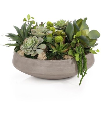John Richard Amsterdam Botanical/Floral JRB-5551