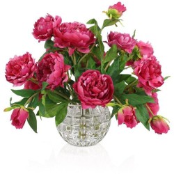 John Richard Garden Peonies Botanical/Floral JRB-5559W