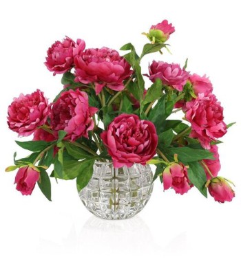 John Richard Garden Peonies Botanical/Floral JRB-5559W