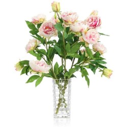 John Richard Blushing Peony Garden Wall Art JRB-5560W