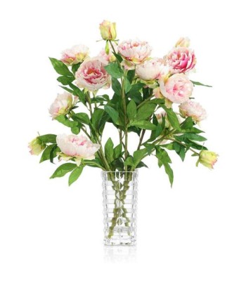 John Richard Blushing Peony Garden Wall Art JRB-5560W