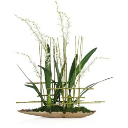 John Richard Asian Cymbidiums Botanical/Floral JRB-5563