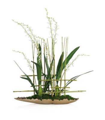 John Richard Asian Cymbidiums Botanical/Floral JRB-5563