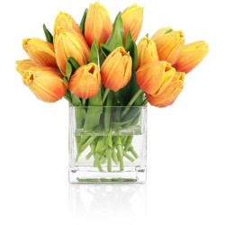 John Richard Sunburst Tulips Botanical/Floral JRB-5565W