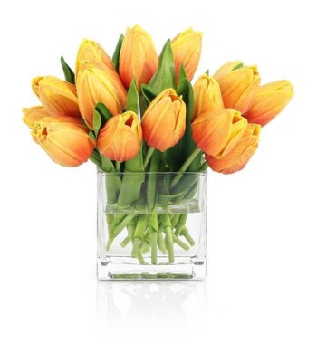John Richard Sunburst Tulips Botanical/Floral JRB-5565W