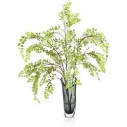 John Richard Aspine Button Leaf Botanical/Floral JRB-5566W
