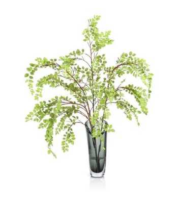 John Richard Aspine Button Leaf Botanical/Floral JRB-5566W
