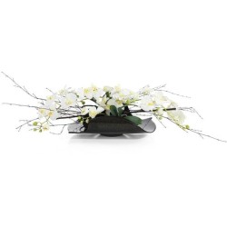 John Richard Midnight Delight Botanical/Floral JRB-5567