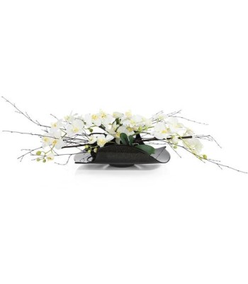 John Richard Midnight Delight Botanical/Floral JRB-5567