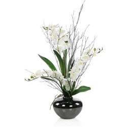 John Richard Black Bamboo & Orchids Botanical/Floral JRB-5575