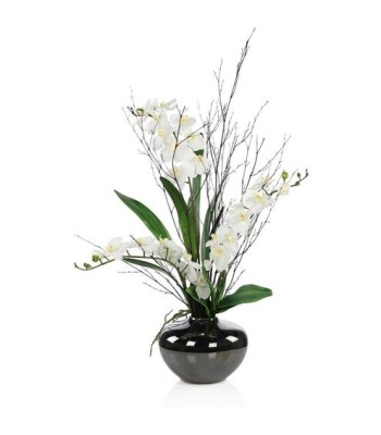 John Richard Black Bamboo & Orchids Botanical/Floral JRB-5575