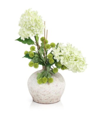 John Richard Woodland Hydrangeas Botanical/Floral JRB-5579