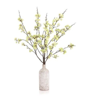 John Richard Cherry Blossoms Botanical/Floral JRB-5581