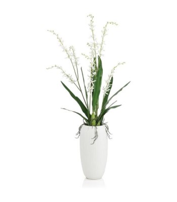 John Richard Elegant White Botanical/Floral JRB-5582