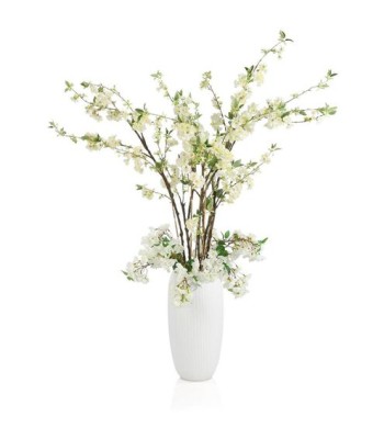 John Richard Elegant Cherry Blossoms Botanical/Floral JRB-5583