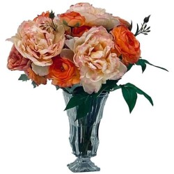 John Richard Peachy Peonies Botanical/Floral JRB-5584W