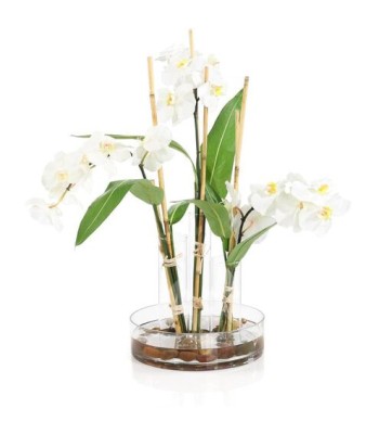 John Richard Changing Florals Botanical/Floral JRB-5585W