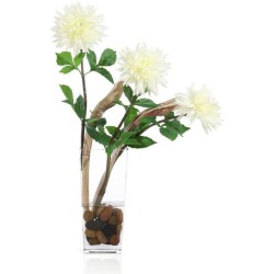 John Richard Ninja Dahlia Wall Art JRB-5586W