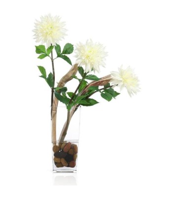 John Richard Ninja Dahlia Wall Art JRB-5586W