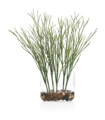 John Richard Cactus Succulent Botanical/Floral JRB-5587W