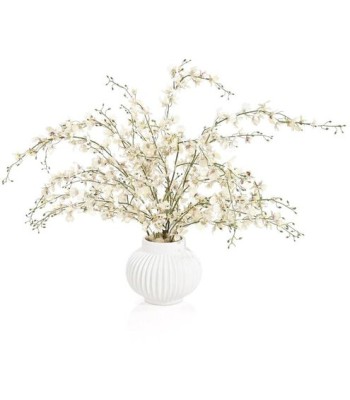 John Richard Dancing Orchids Botanical/Floral JRB-5589