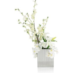 John Richard Reflections Botanical/Floral JRB-5592