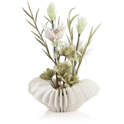 John Richard Seaside Pastels Botanical/Floral JRB-5597