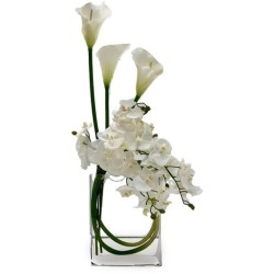 John Richard Snow White Blooms Botanical/Floral JRB-5601W