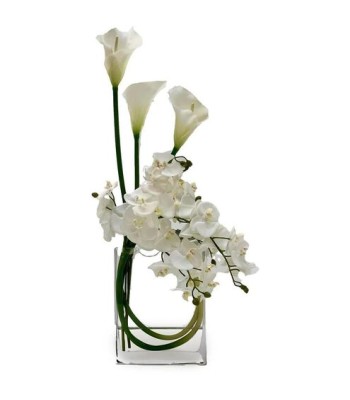 John Richard Snow White Blooms Botanical/Floral JRB-5601W