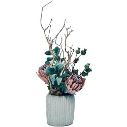John Richard Desert Blooms Botanical/Floral JRB-5603