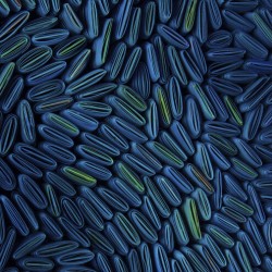 John Richard Tony Fey's Cerulean Swells Abstract Art JRO-3301