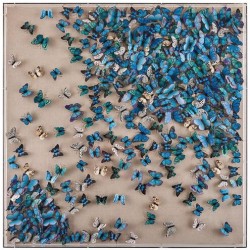John Richard Tony Fey's Flight of the Butterflies Oils and Art JRO-3406