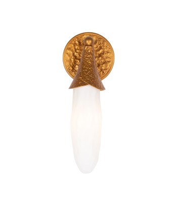 Kalco Bougainvillea Wall Sconce 523921WGL