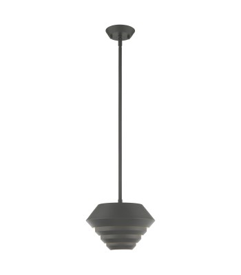 Livex Amsterdam Ceiling Pendant 40401-76