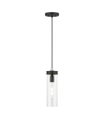 Livex Devoe Mini Pendant 41236-04